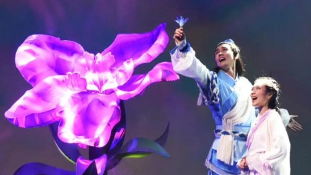 虎年新春再绽放，这朵“马兰花”为何花开不败？